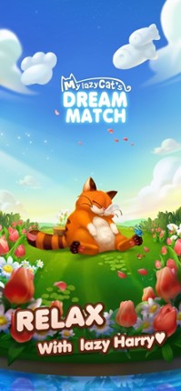 Lazy Cat Dream Match Image