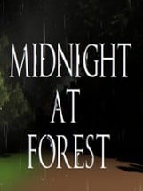 Midnight at Forest Image