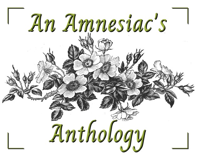 Games like An Amnesiac's Anthology