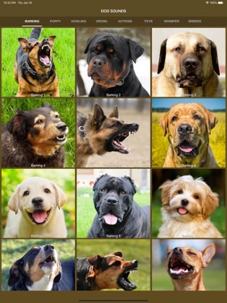 Dog Sounds - Collection screenshot