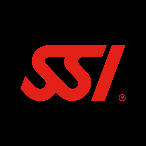 Games like SSI