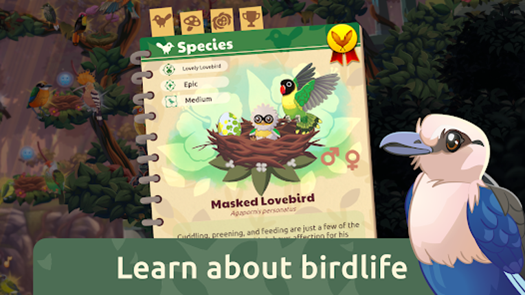 Bird Kind screenshot