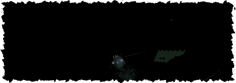 Go To Sleep screenshot