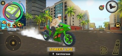 Miami Crime Simulator Image