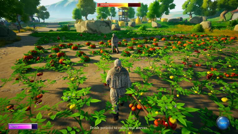 Peasant or Rebel? screenshot