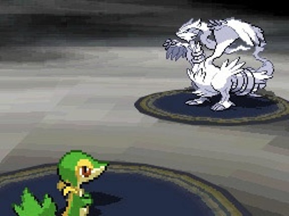 Pokémon Black Version screenshot