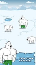 Polar Bear Evolution Image