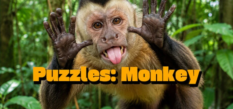 Puzzles: Monkey Image