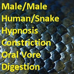 Games like Scale Security