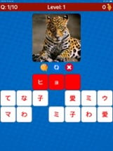 Learn Japanese Vocabulary Lite Image