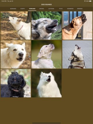 Dog Sounds - Collection screenshot