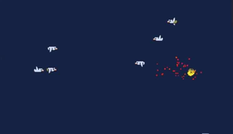 Duck vs Seagulls Image