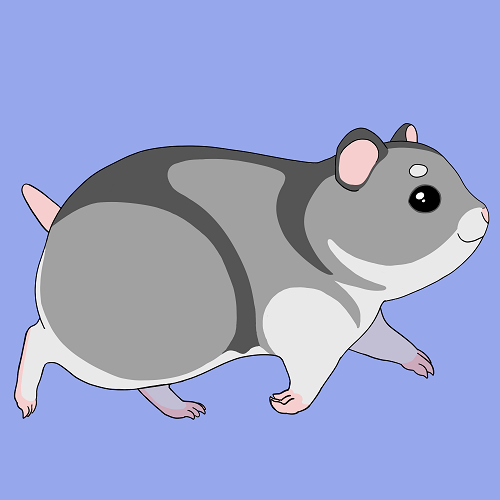 Games like Homeless Hamster