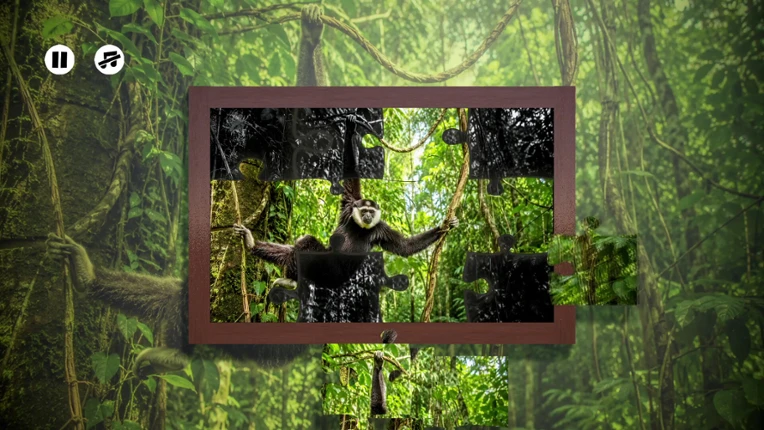 Puzzles: Monkey screenshot
