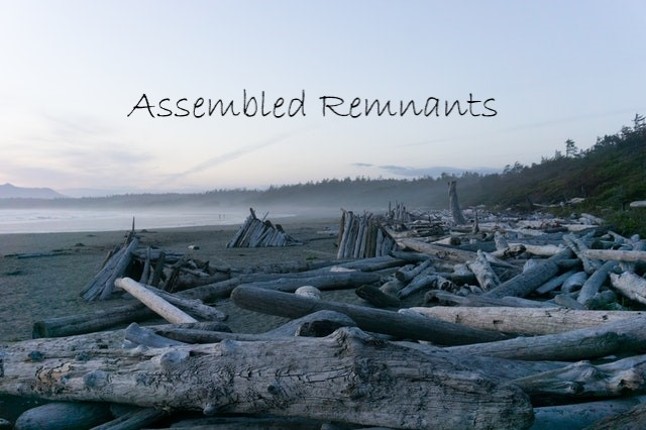 Assembled Remnants Image