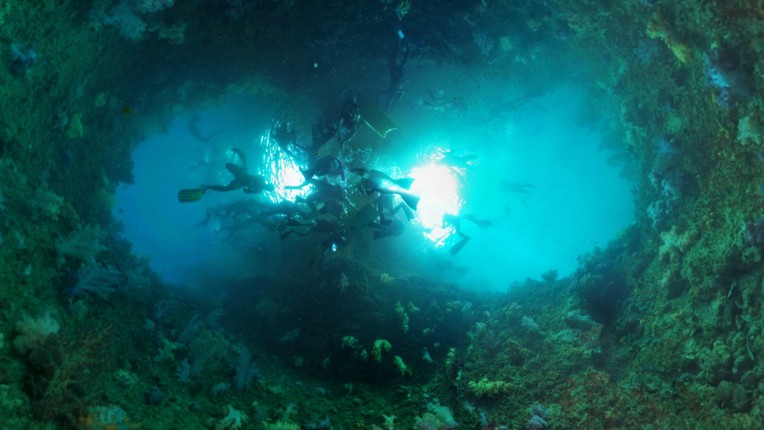 Coral Compass: Fighting Climate Change in Palau screenshot