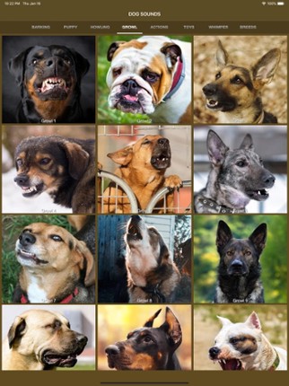 Dog Sounds - Collection screenshot