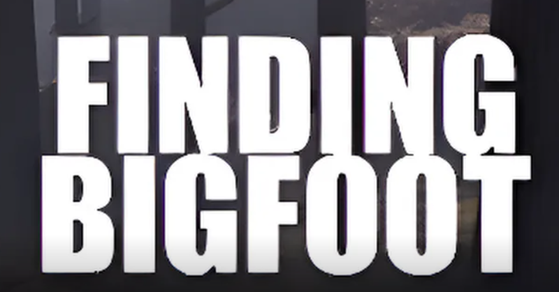 Finding Bigfoot Image
