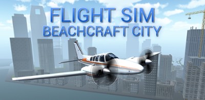 Flight Sim BeachCraft City Image