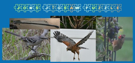 Games like Jon's Jigsaw Puzzle