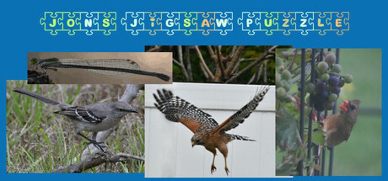 Jon's Jigsaw Puzzle Image