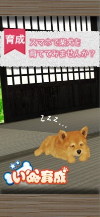 Shibainu Dog Simulator 3D screenshot
