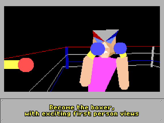 4-D Boxing Image