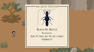 Bug & Seek Image