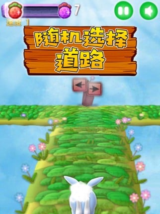 Bunny Rush 2 screenshot