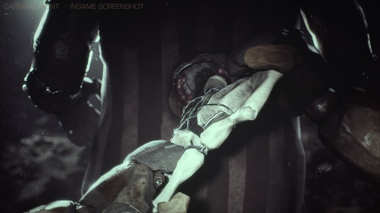 Carnival Hunt screenshot