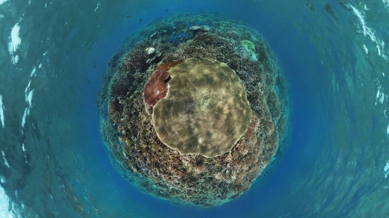 Coral Compass: Fighting Climate Change in Palau screenshot
