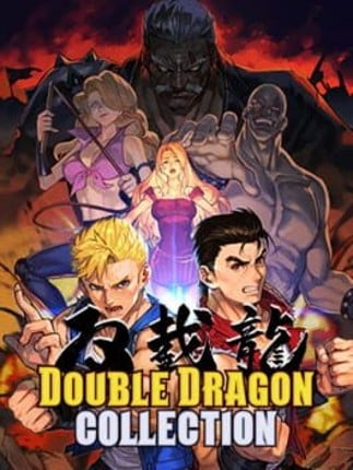 Double Dragon Collection Game Cover