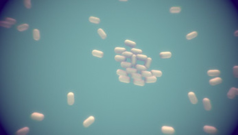 Automatic Transform Hierarchy Experiment: Bacilli Image