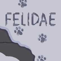 FELIDAE Image