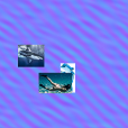 Save The Swimmer Image