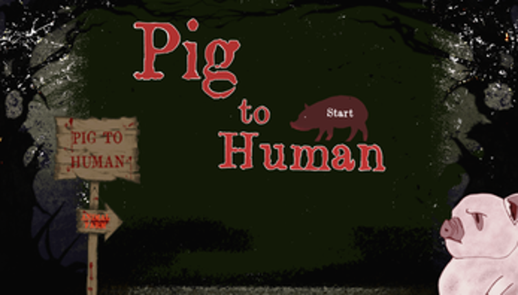 Pig to Human Image