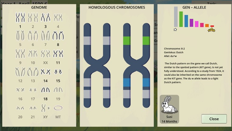 Rare Rabbits - Snuggle Haven screenshot