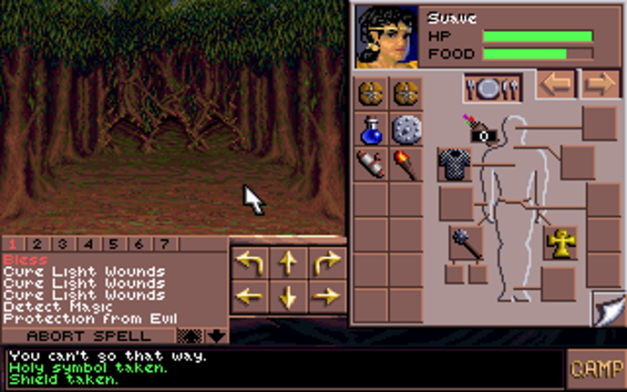 Eye of the Beholder III: Assault on Myth Drannor Image