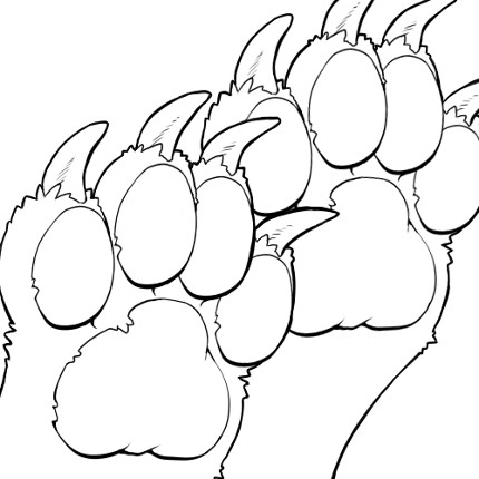 Line Art: Paws Image