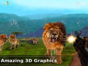 Lion Hunting - Hunting Games Image