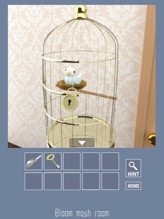 Parrots Escape 2 screenshot
