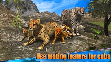 Angry Cheetah Simulator 3D Image