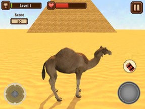 Camel Simulator Image