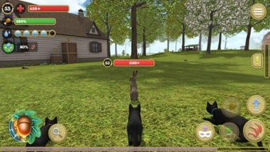 Cat Simulator: Animals on Farm Image