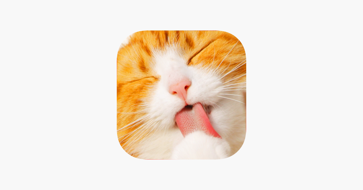 Games like Cute Kitten Cat Jigsaw Puzzle