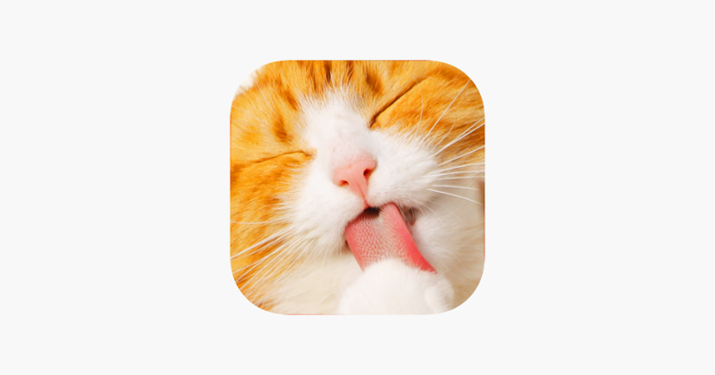 Cute Kitten Cat Jigsaw Puzzle Game Cover