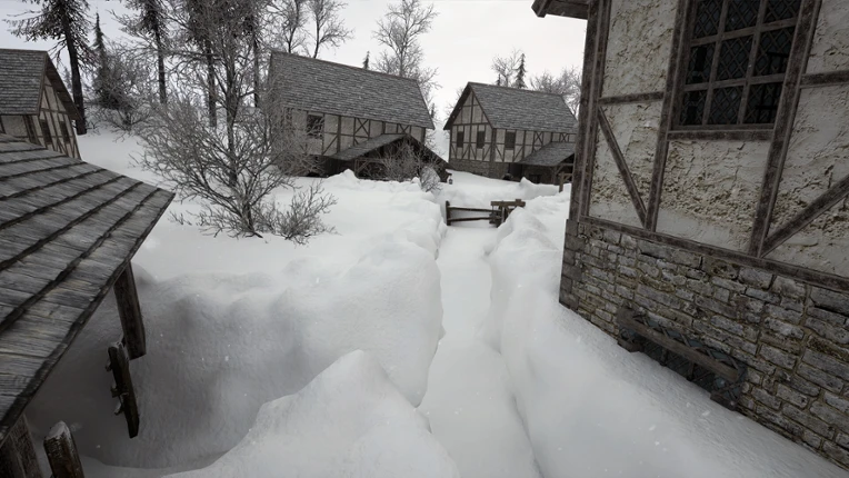 Deep In Snow Image