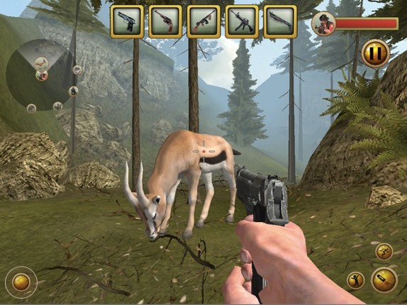 Deer Hunting Challenge 2016 Image