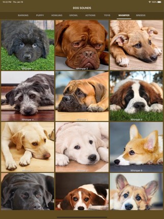 Dog Sounds - Collection screenshot