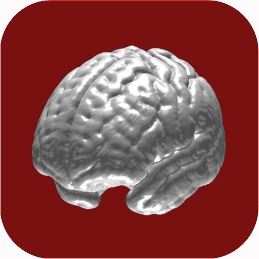 Games like N-Back Memory Training